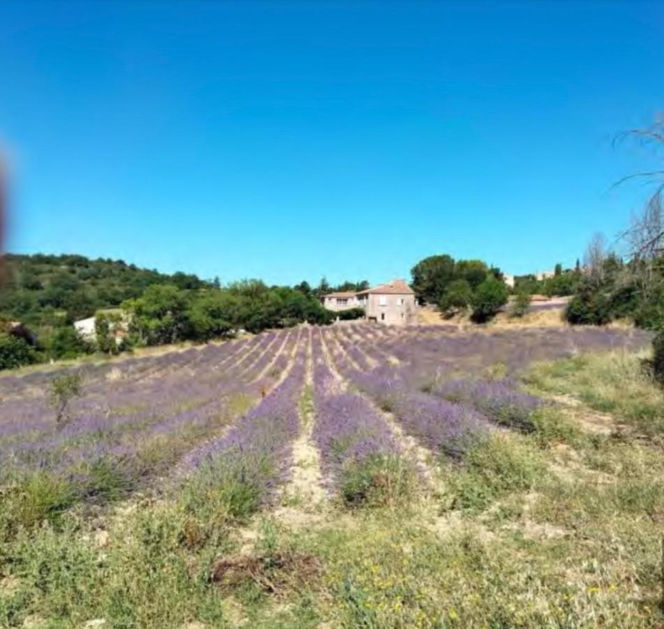 Lou Paradou Luberon Reillanne Exteriér fotografie