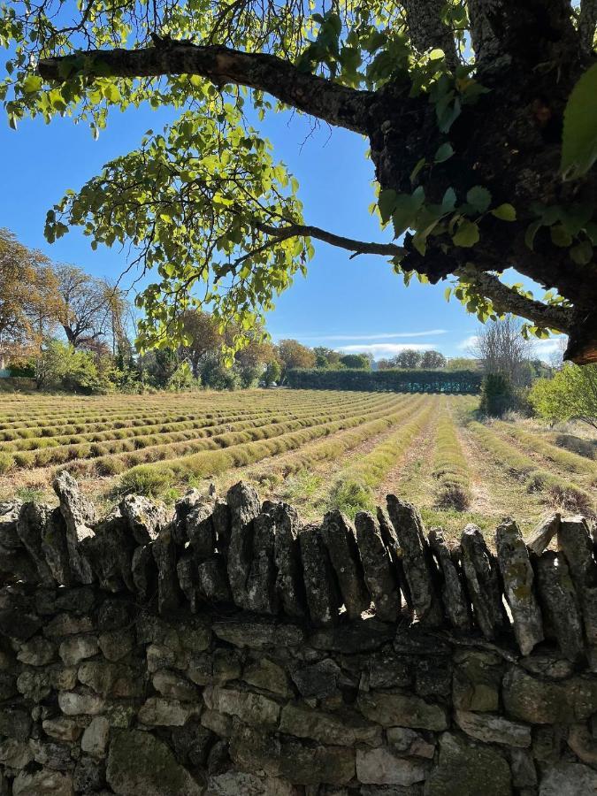 Lou Paradou Luberon Reillanne Exteriér fotografie